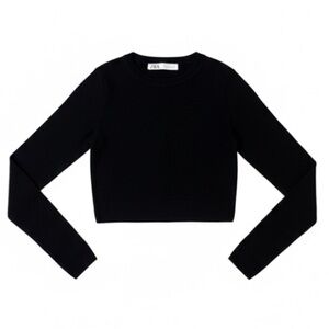 Zara Long Sleeve Ribbed Knit Crop Top